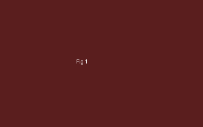 Fig. 1 — Raw gamma ray log before normalization