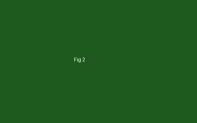 Fig. 2 — Normalized log, ready for inversion